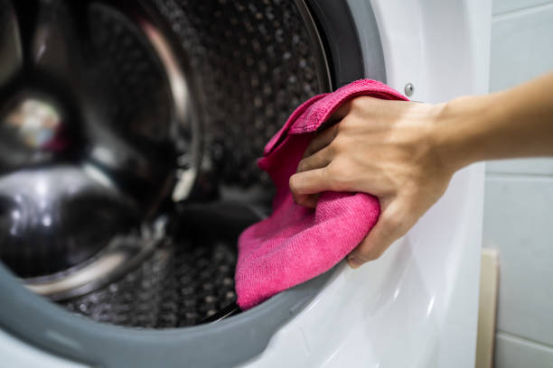 Reliable Milan, IN Mold Removal Solutions