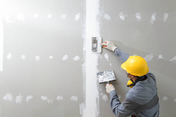 Best HVAC Mold Inspection and Cleaning  in Milan, IN