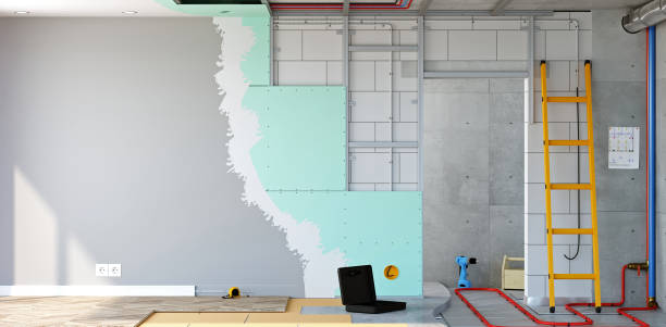 Best Mold Damage Restoration  in Milan, IN