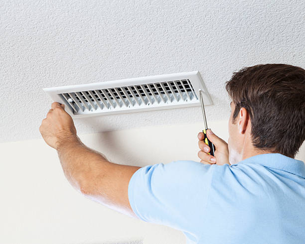 Best Industrial Mold Remediation  in Milan, IN